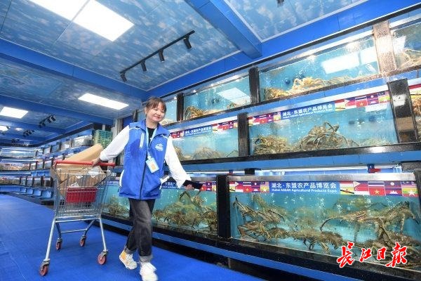 1763621509476109.jpeg 4.jpeg